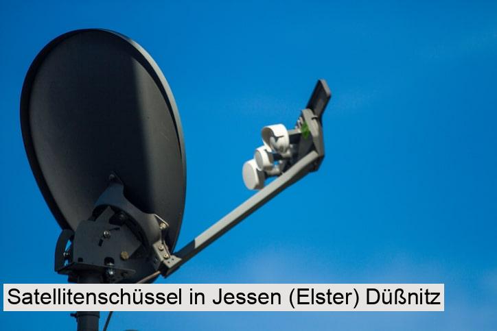 Satellitenschüssel in Jessen (Elster) Düßnitz